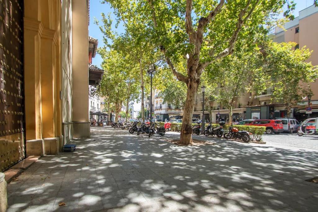 Appartamento Muy Centrico, Tranquilo Y Confortable **a/c-wifi** Siviglia